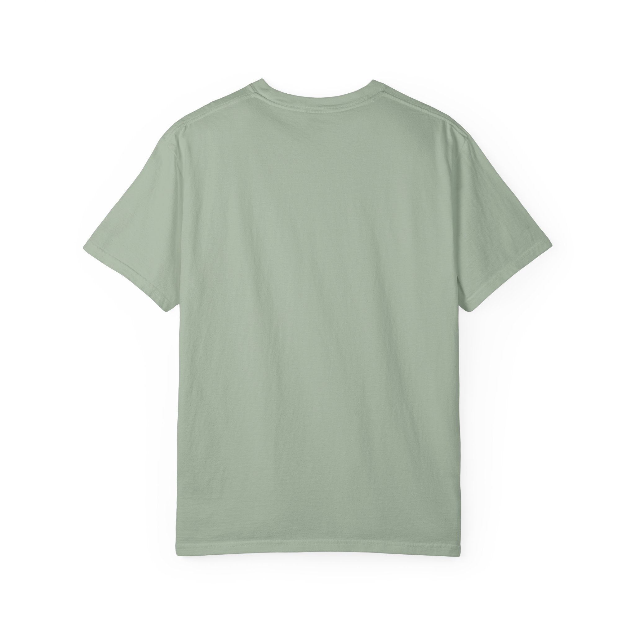 Vintage Fighter Plane illustration T-shirt | Retro Aviator Design