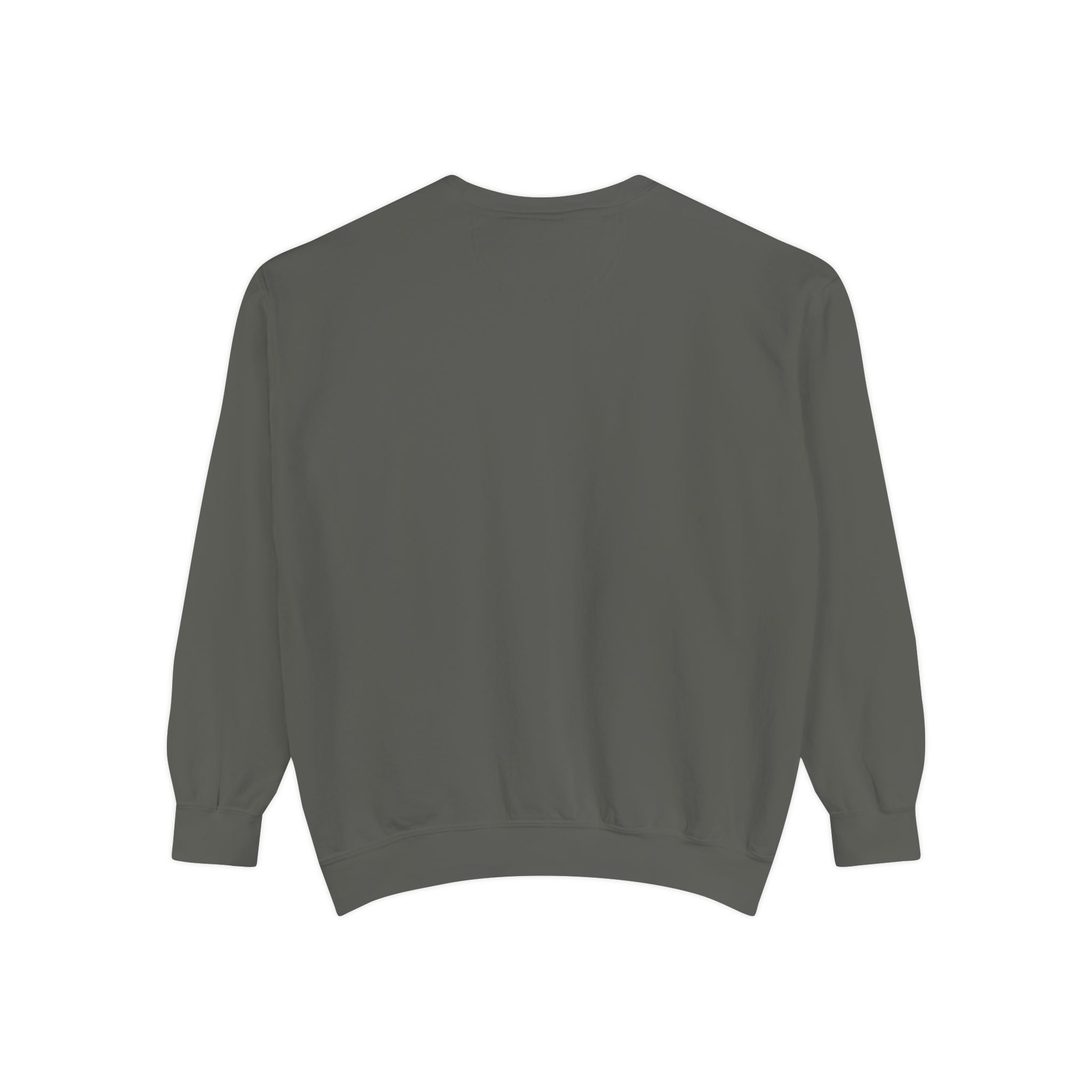 Christian Sweatshirt — “Jesus Christ No.1 Savior” Vintage Forgiven Crewneck