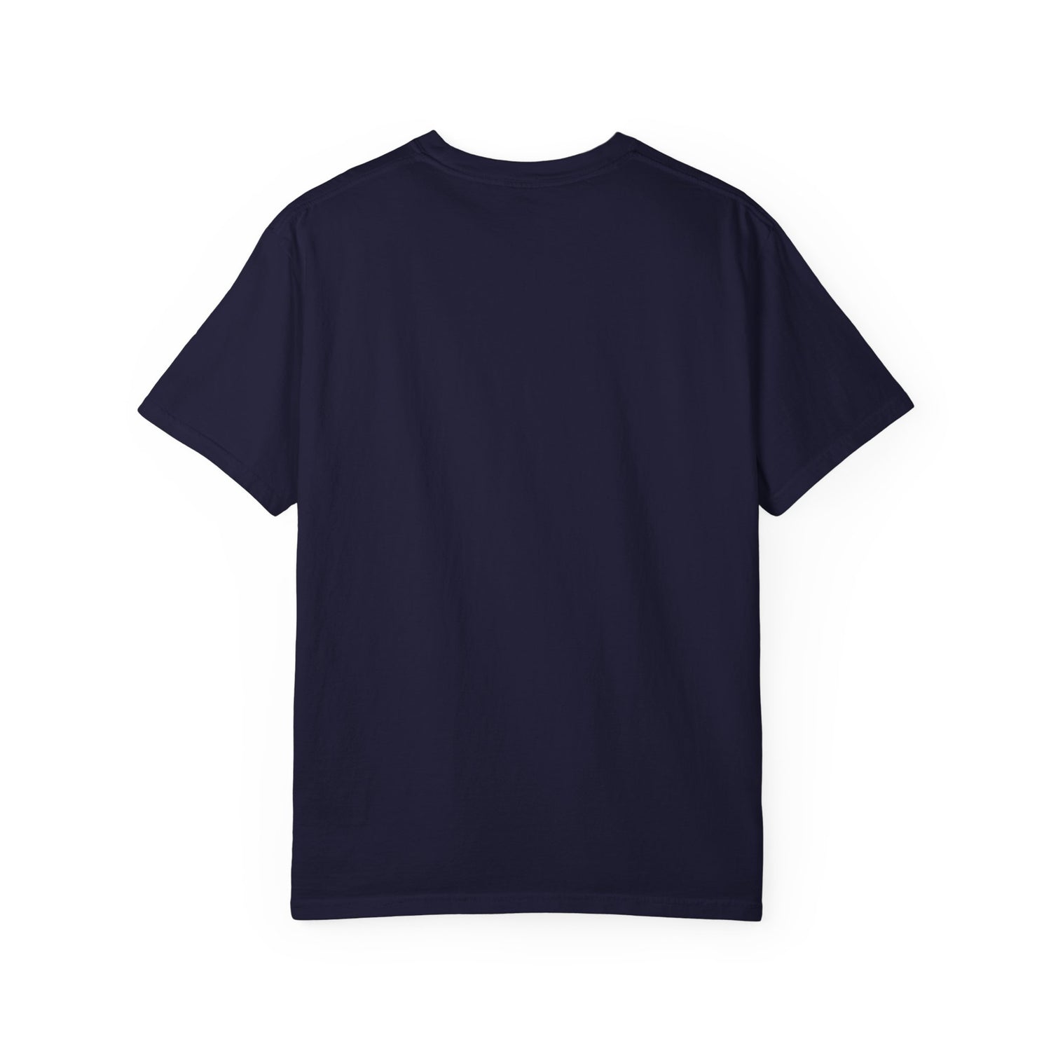 Vintage Fighter Plane illustration T-shirt | Retro Aviator Design