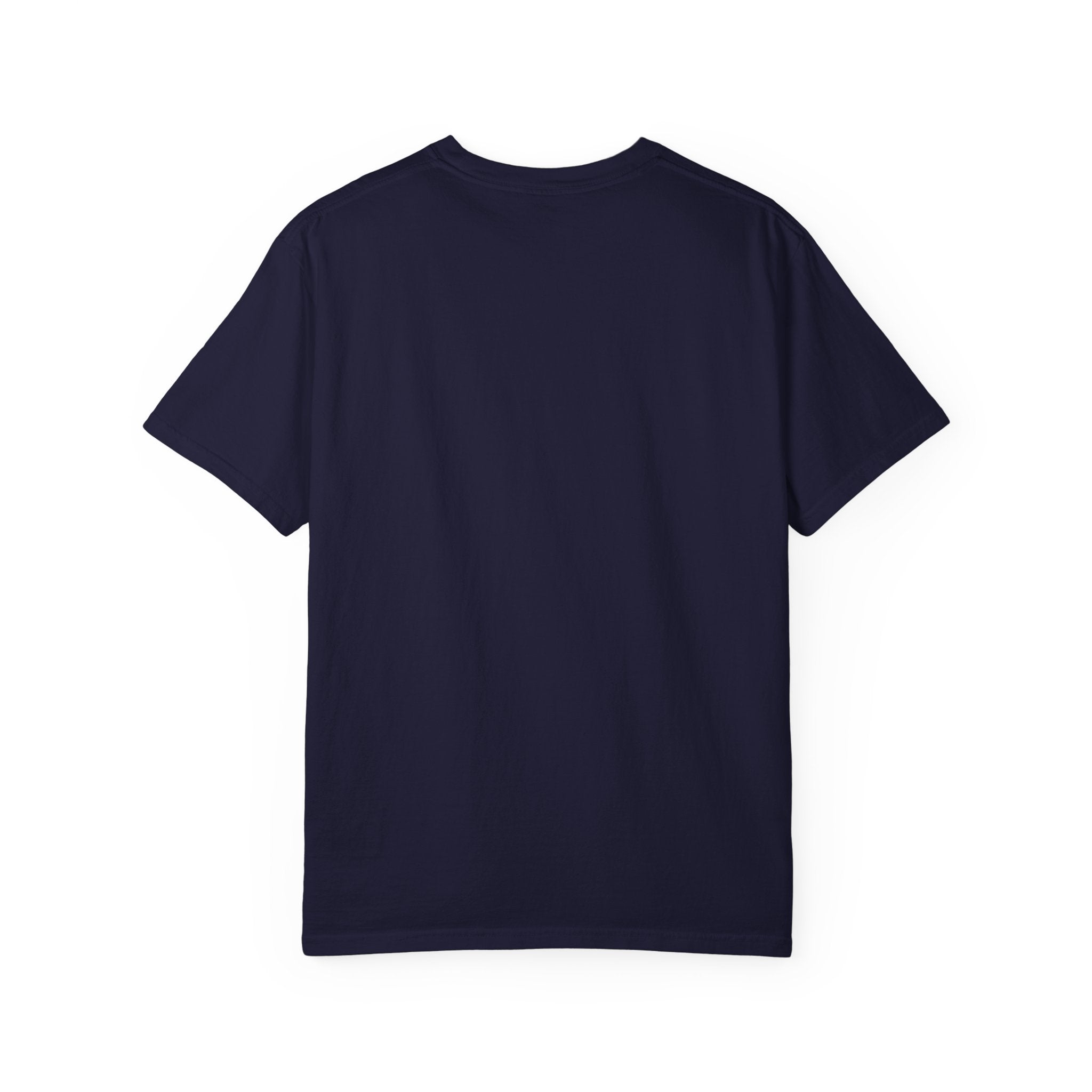 Vintage Fighter Plane illustration T-shirt | Retro Aviator Design
