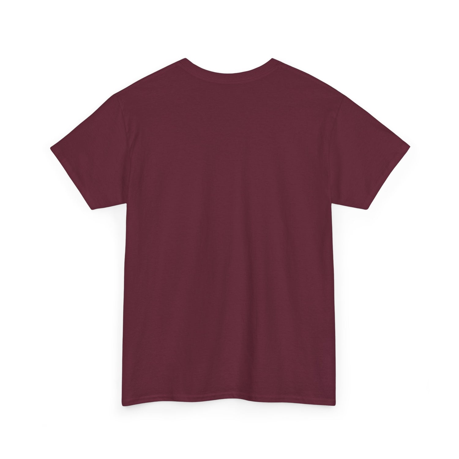 Inspirational Unisex Heavy Cotton Tee, Motivational T-Shirt, Everyday Wear, Gift for Friends, Self-Love Reminder, Casual Style