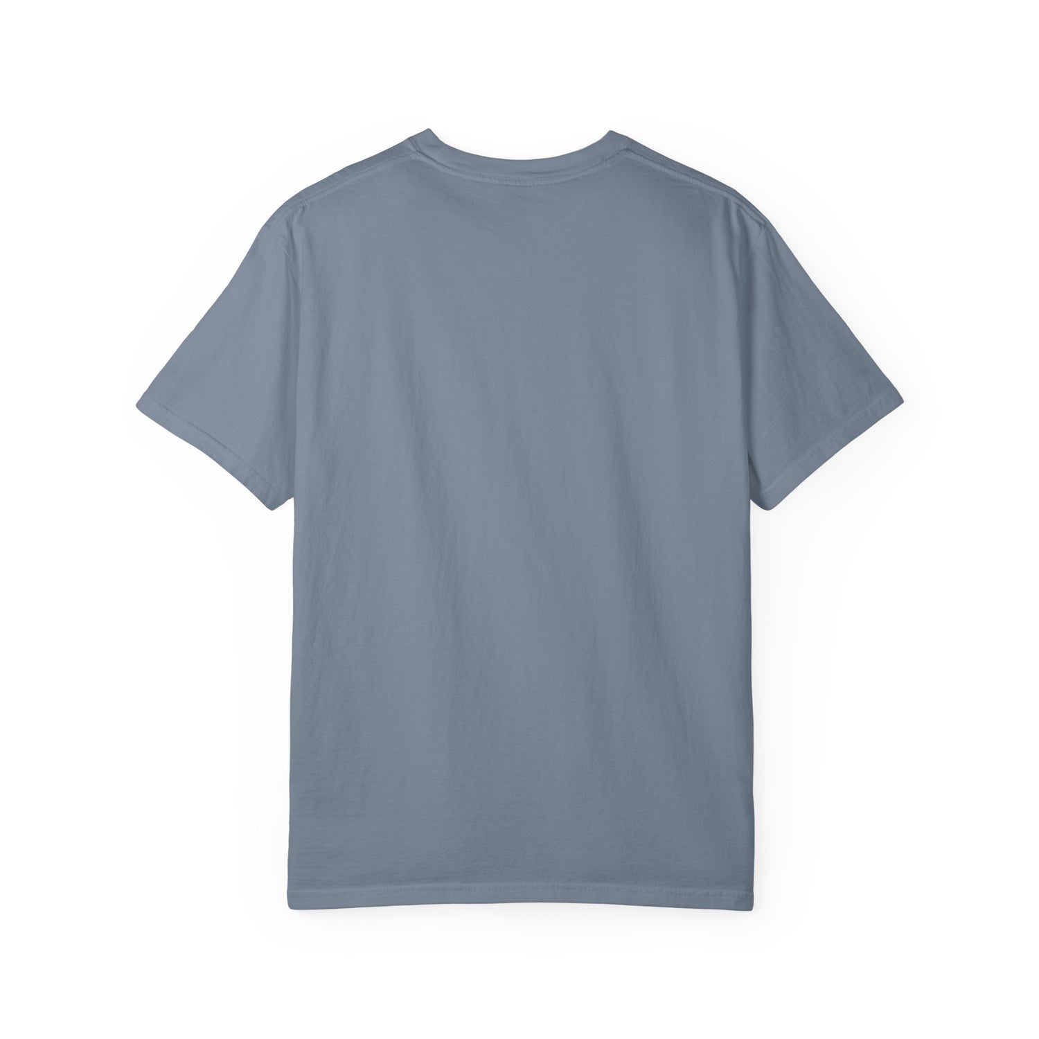 Vintage Fighter Plane illustration T-shirt | Retro Aviator Design