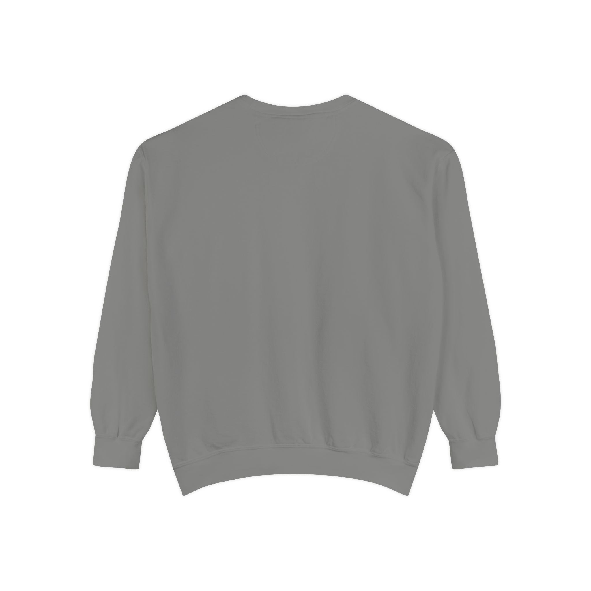 Christian Sweatshirt — “Jesus Christ No.1 Savior” Vintage Forgiven Crewneck