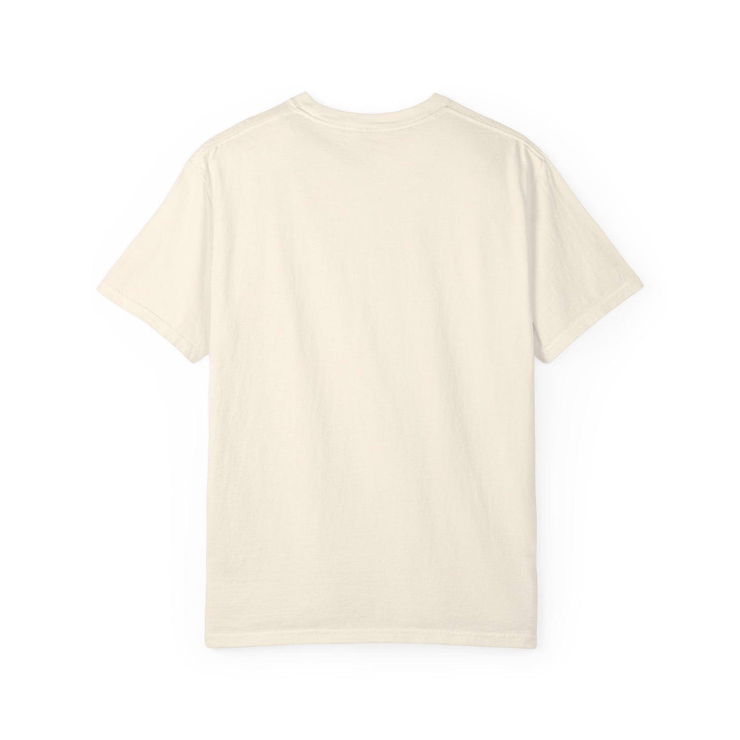 Vintage Fighter Plane illustration T-shirt | Retro Aviator Design