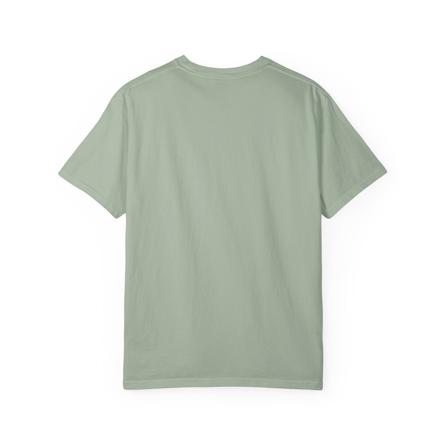 Vintage Fighter Plane illustration T-shirt | Retro Aviator Design