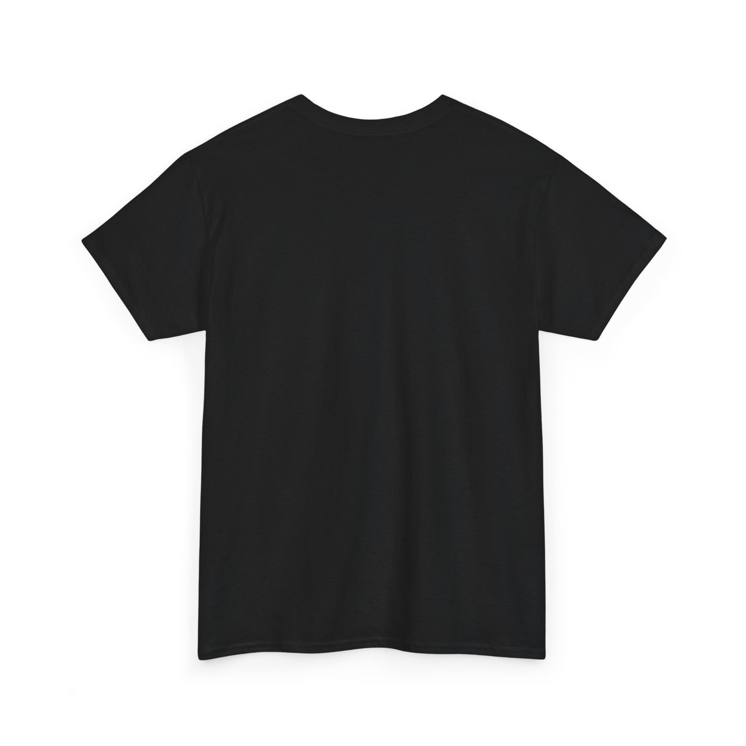 Inspirational Unisex Heavy Cotton Tee, Motivational T-Shirt, Everyday Wear, Gift for Friends, Self-Love Reminder, Casual Style
