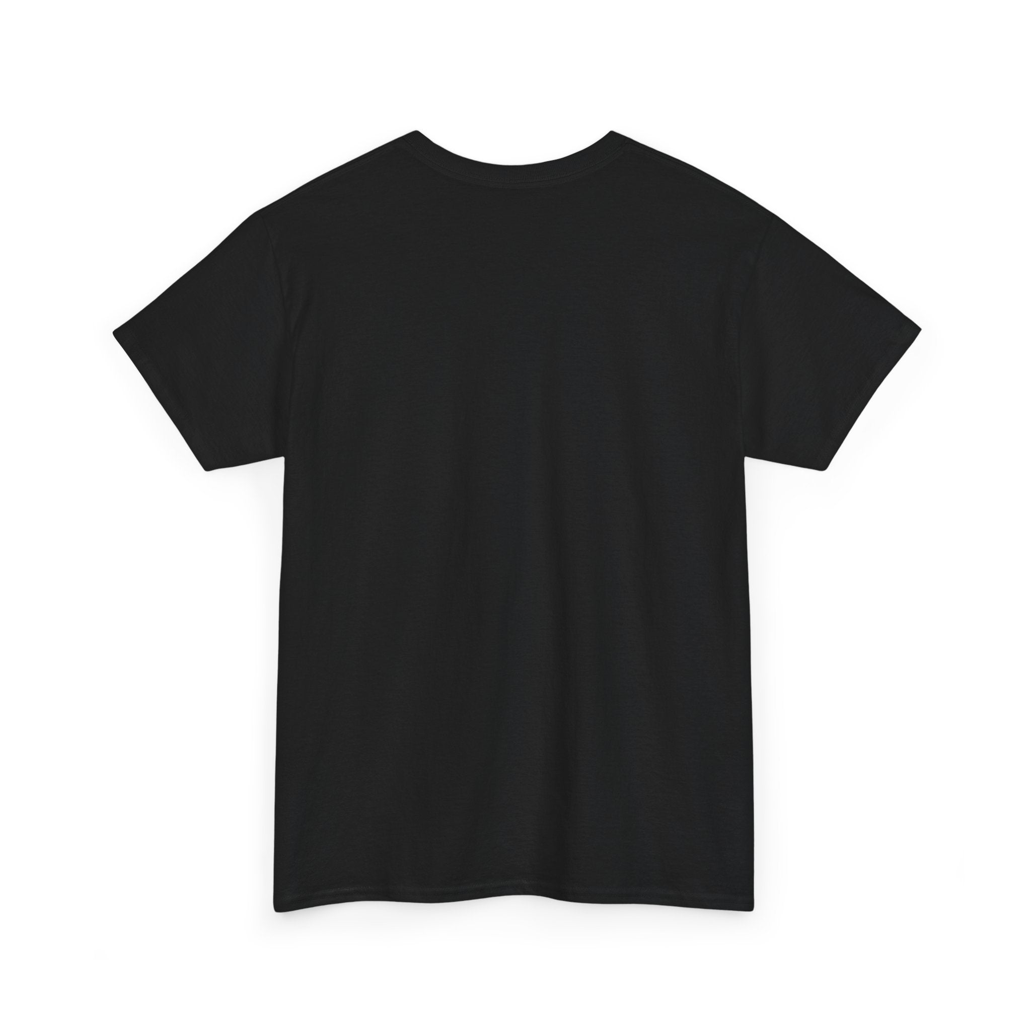 Inspirational Unisex Heavy Cotton Tee, Motivational T-Shirt, Everyday Wear, Gift for Friends, Self-Love Reminder, Casual Style