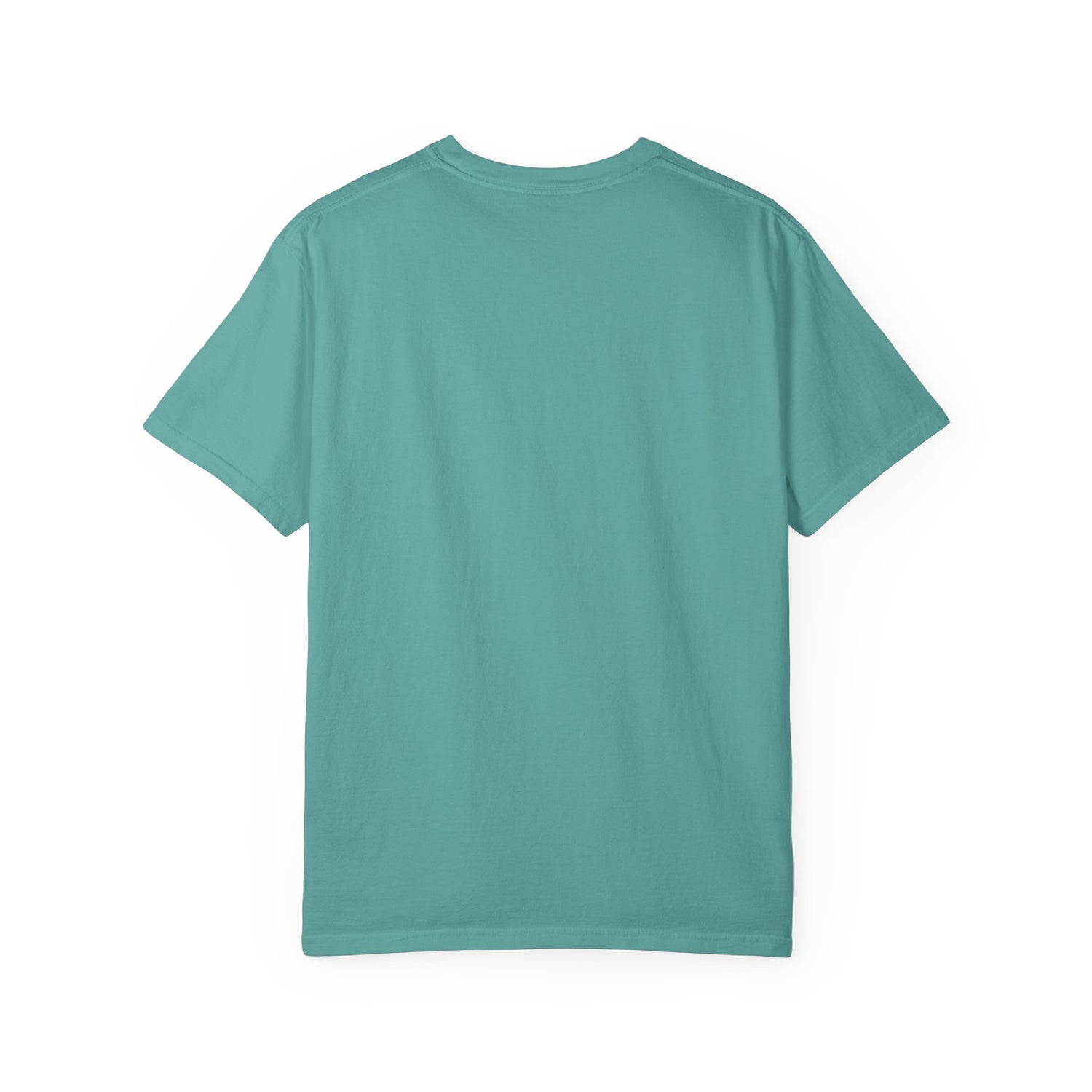 Vintage Fighter Plane illustration T-shirt | Retro Aviator Design