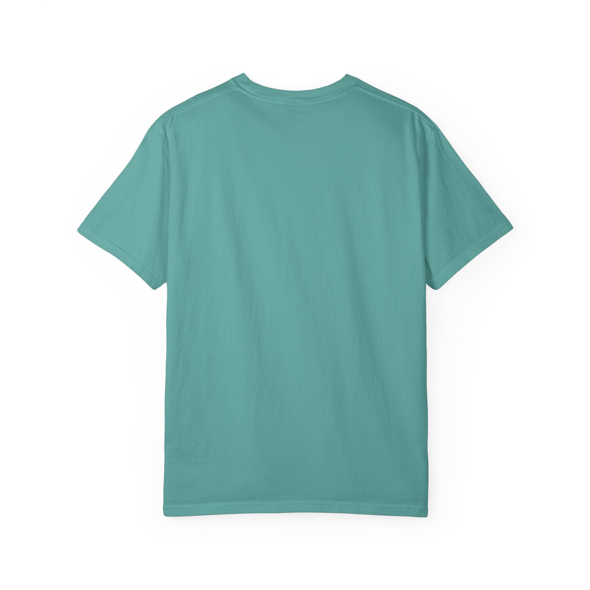 Vintage Fighter Plane illustration T-shirt | Retro Aviator Design