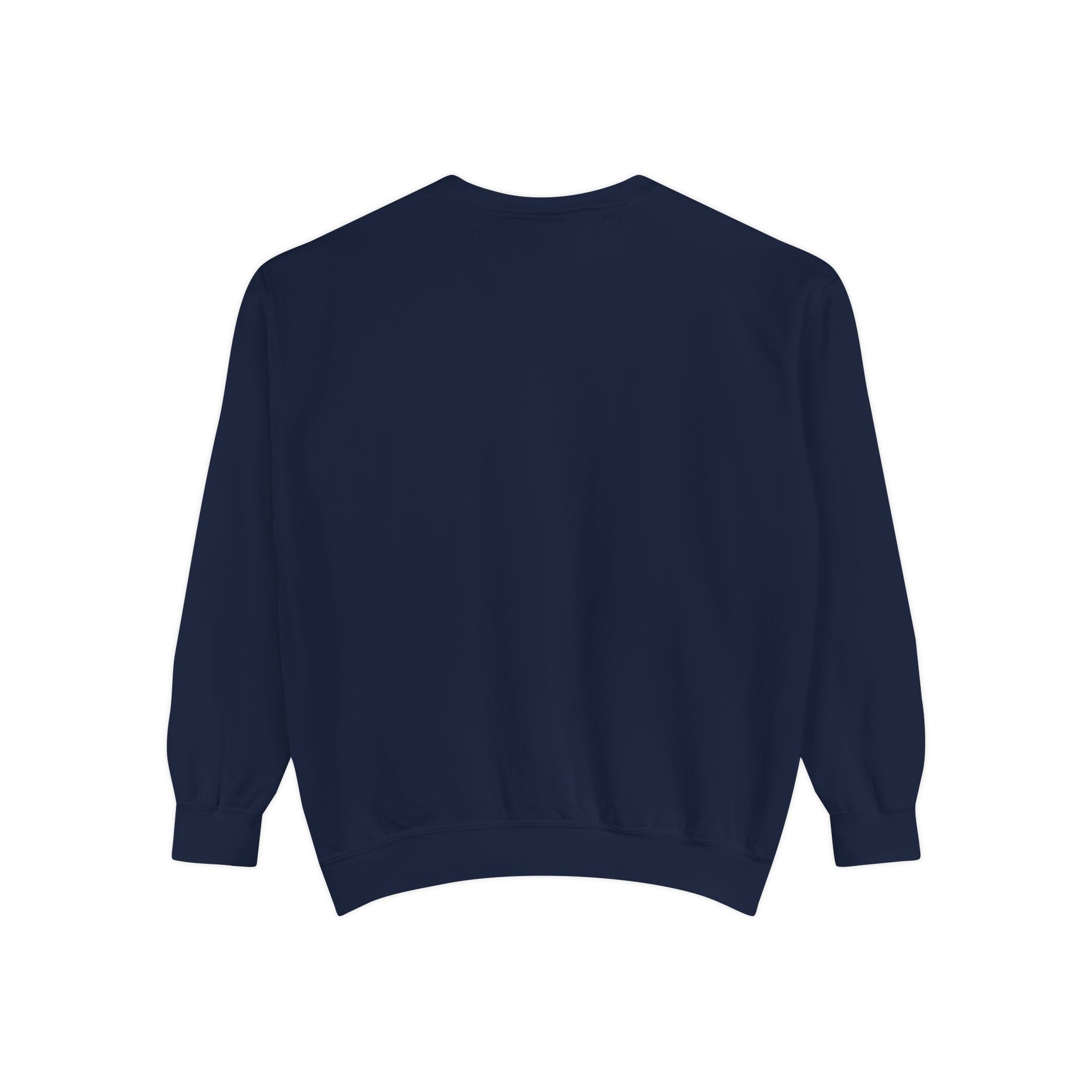 Christian Sweatshirt — “Jesus Christ No.1 Savior” Vintage Forgiven Crewneck