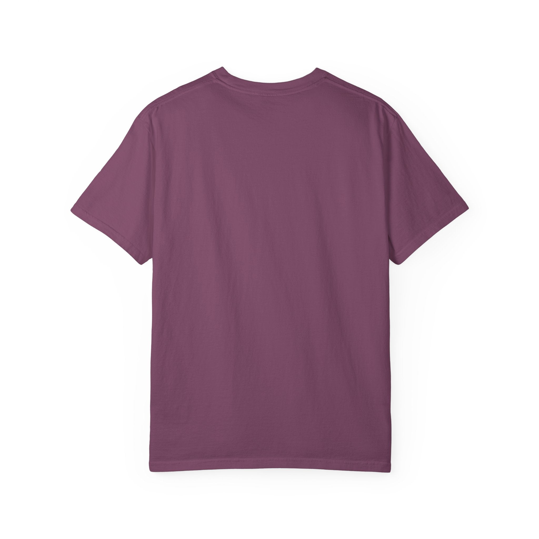 Vintage Fighter Plane illustration T-shirt | Retro Aviator Design