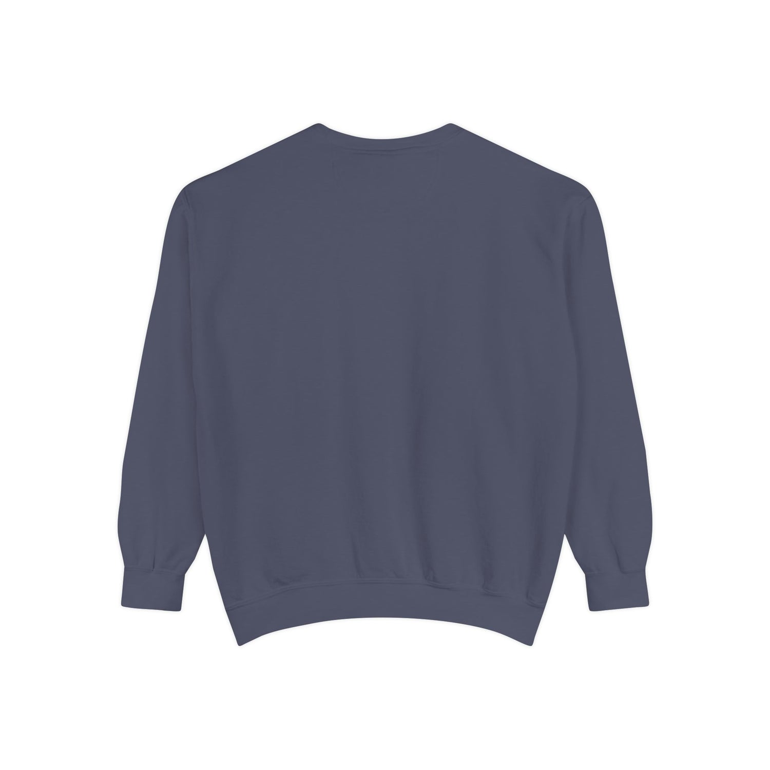 Christian Sweatshirt — “Jesus Christ No.1 Savior” Vintage Forgiven Crewneck