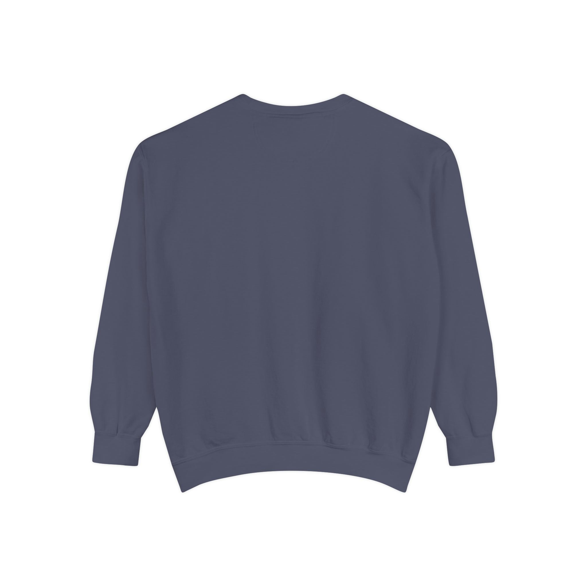 Christian Sweatshirt — “Jesus Christ No.1 Savior” Vintage Forgiven Crewneck